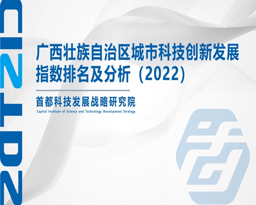 大鸡巴操烂骚逼合集【成果发布】广西壮族自治区城市科技创新发展指数排名及分析（2022）